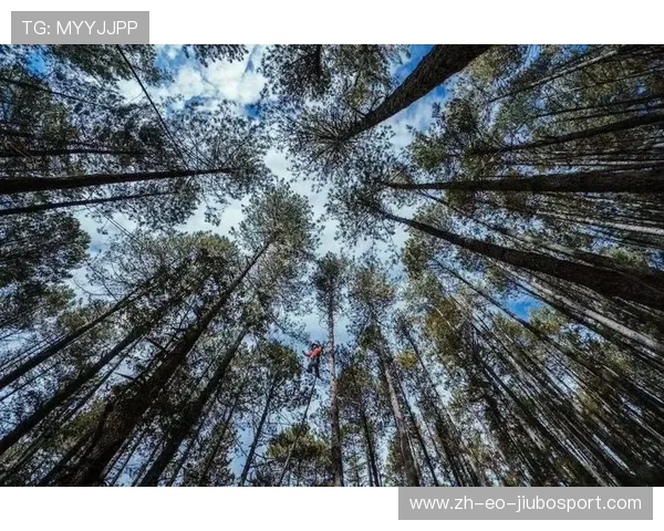 独自挑战极限升级新角色装备探索之路心得分享